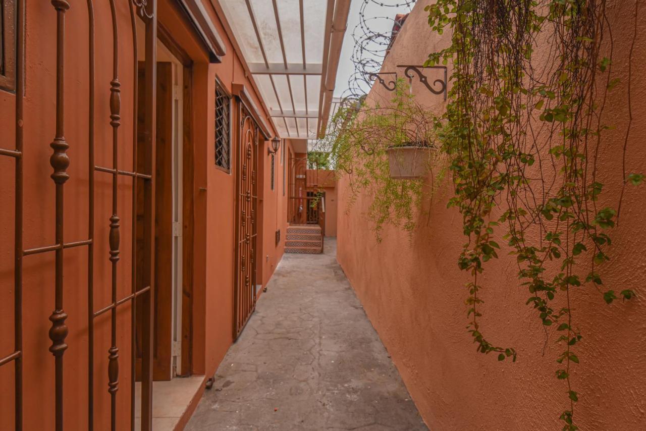 Ph 19 Guesthouse Hotel In Gazcue Santo Domingo Exteriör bild